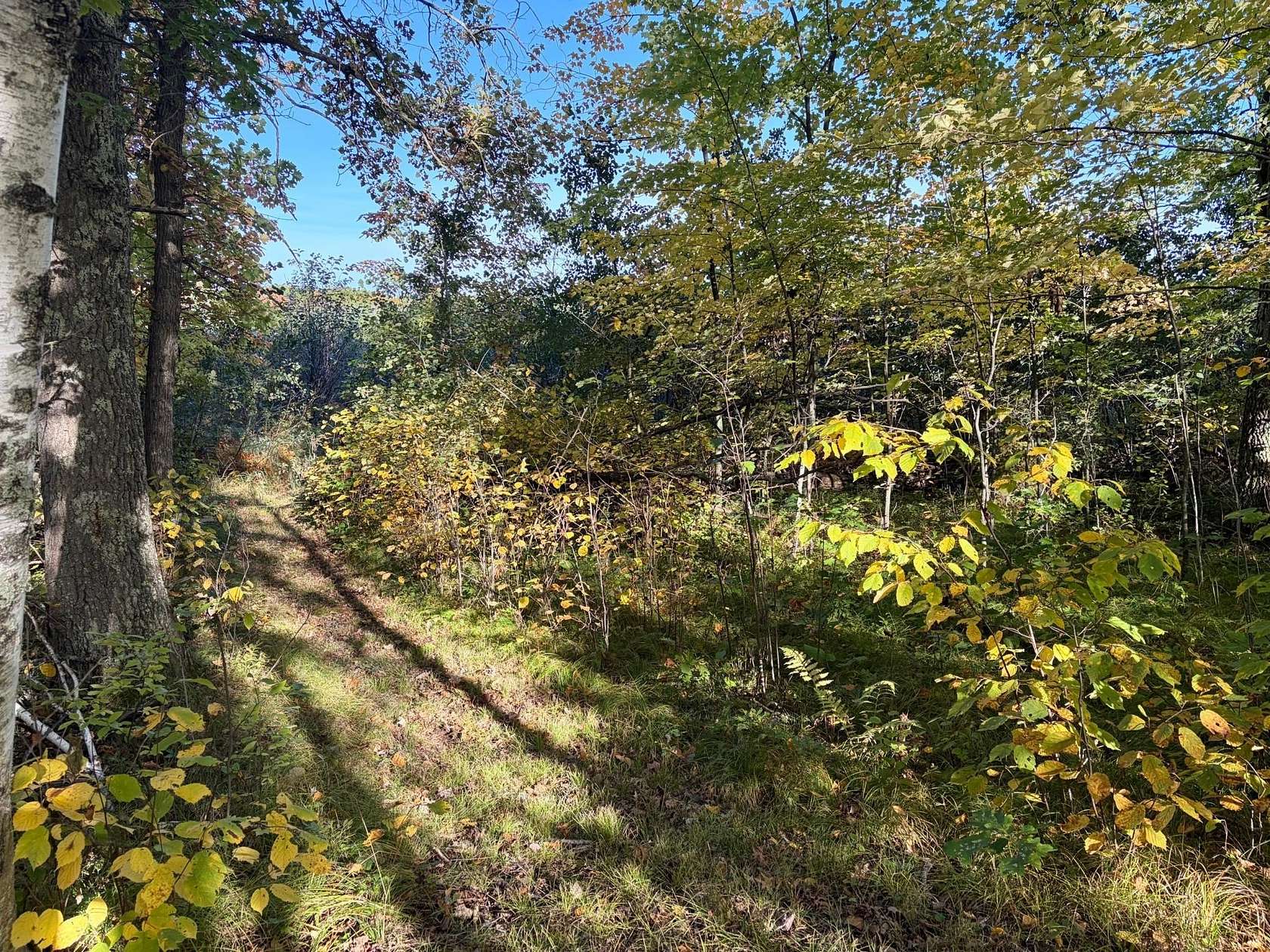 21.1 Acres of Recreational & Residential Land for Sale in McGregor, Minnesota