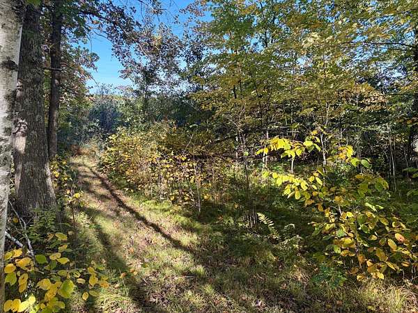 21.1 Acres of Recreational & Residential Land for Sale in McGregor, Minnesota