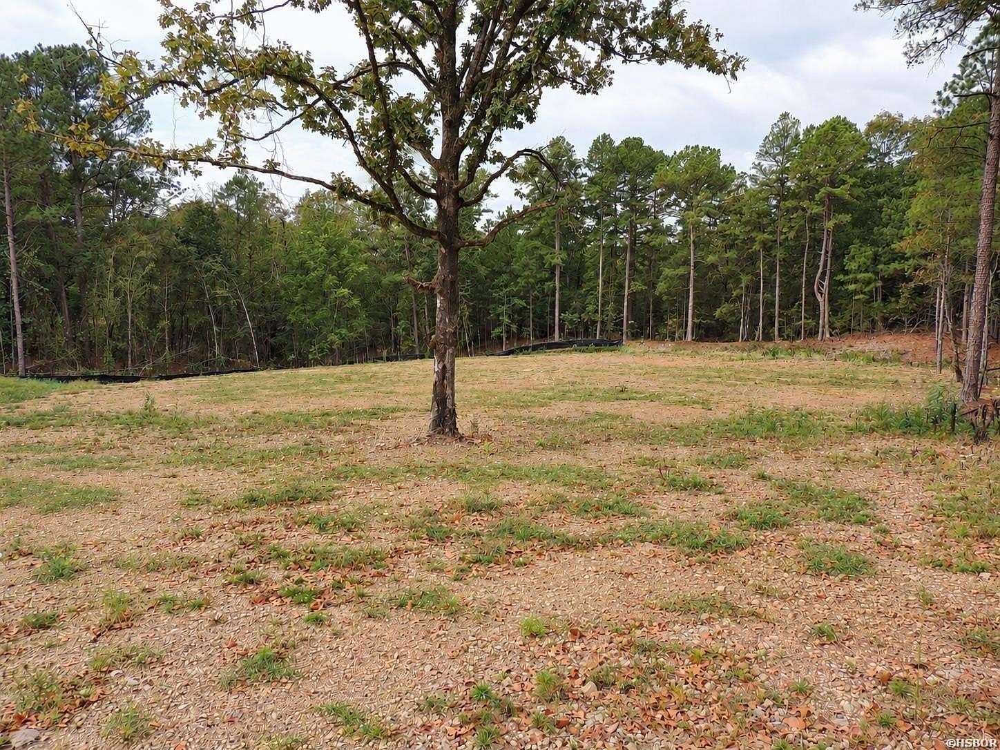 3 Acres of Residential Land for Sale in Pearcy, Arkansas