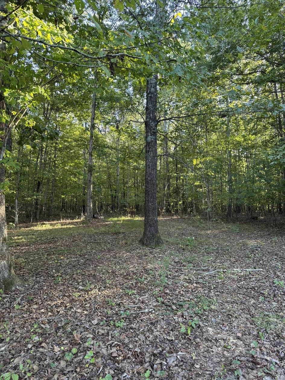 100 Acres of Land for Sale in Russell Springs, Kentucky