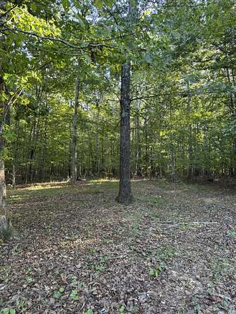 100 Acres of Land for Sale in Russell Springs, Kentucky