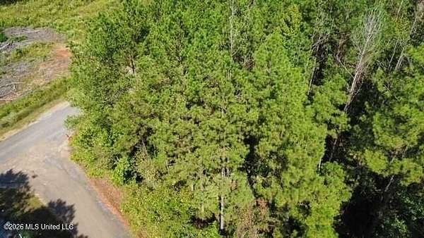 5 Acres of Residential Land for Sale in Liberty, Mississippi