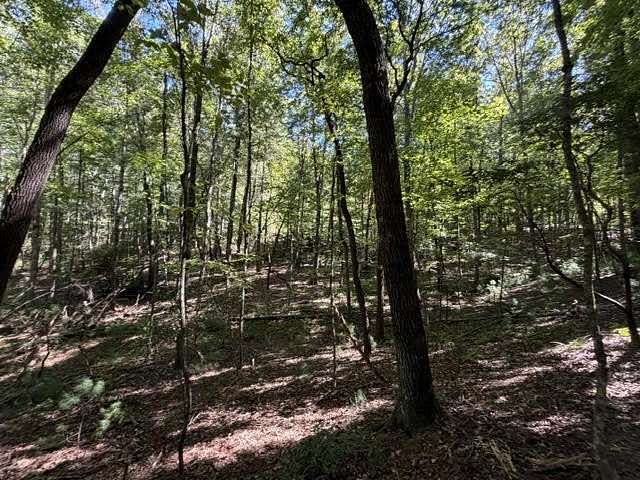1.74 Acres of Residential Land for Sale in Ellijay, Georgia