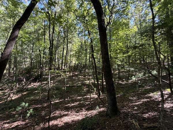 1.74 Acres of Residential Land for Sale in Ellijay, Georgia