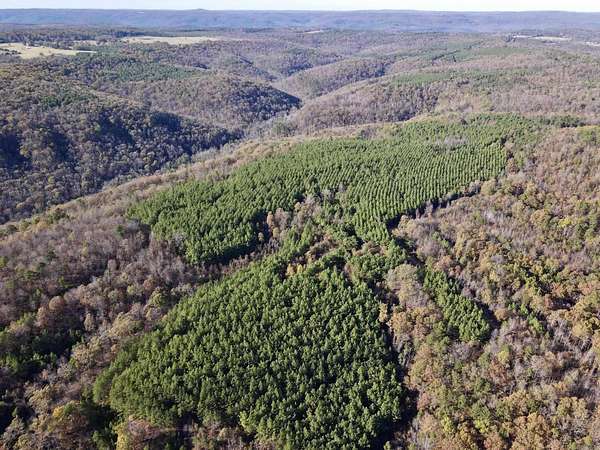 506 Acres of Recreational Land for Sale in Clinton, Arkansas