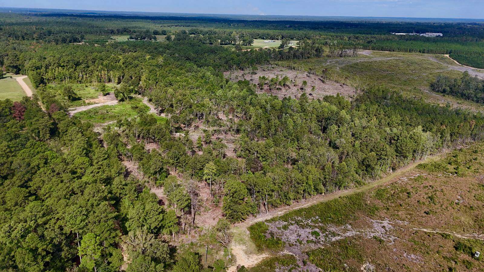 40 Acres of Recreational & Residential Land for Sale in Leakesville, Mississippi