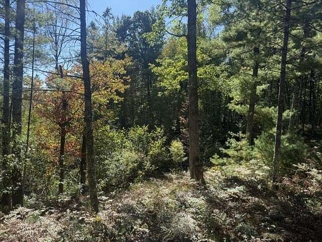 0.17 Acres of Land for Sale in Baldwin, Michigan