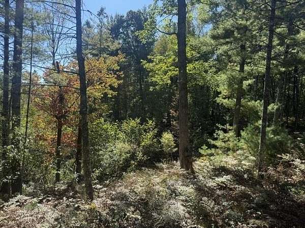 0.17 Acres of Land for Sale in Baldwin, Michigan