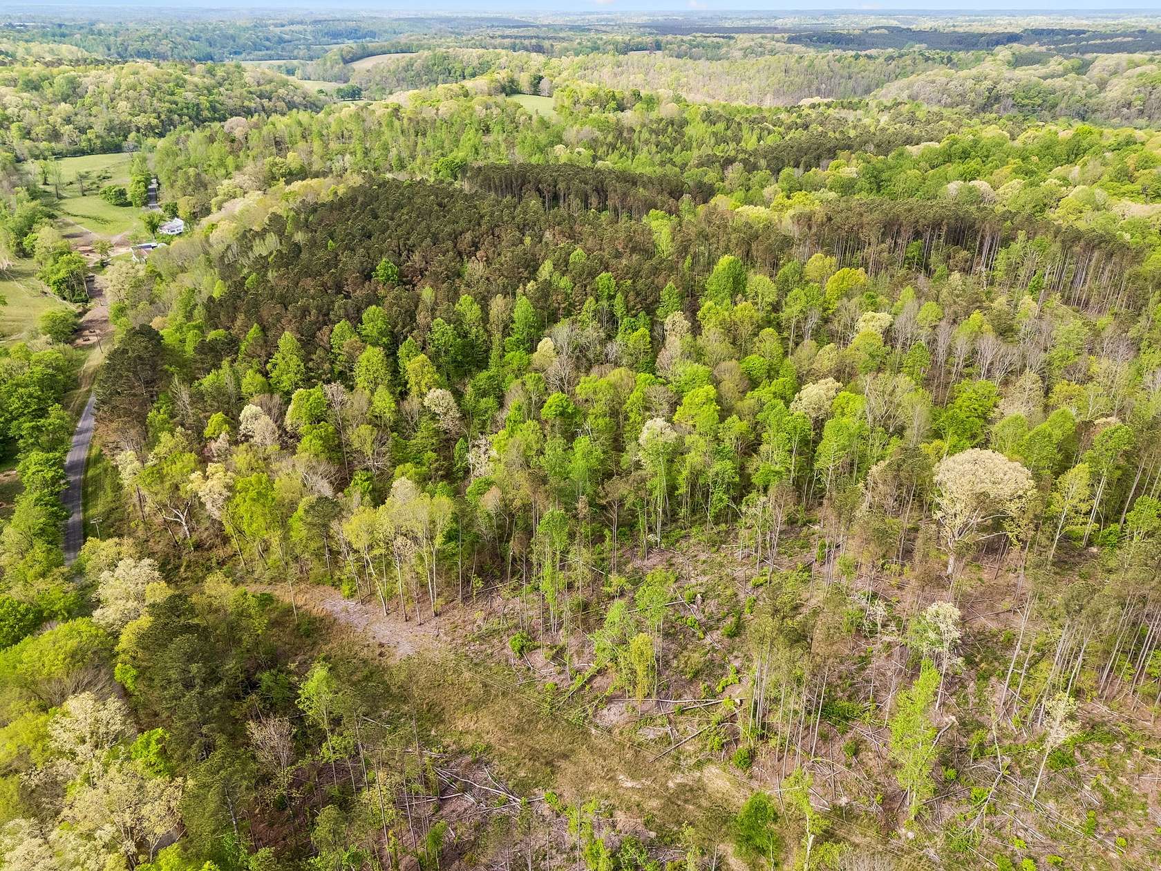 38 Acres of Recreational & Residential Land for Sale in Goodspring, Tennessee