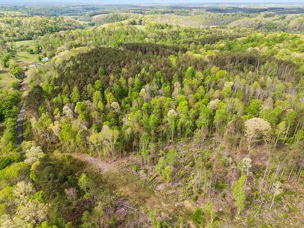 38 Acres of Recreational & Residential Land for Sale in Goodspring, Tennessee