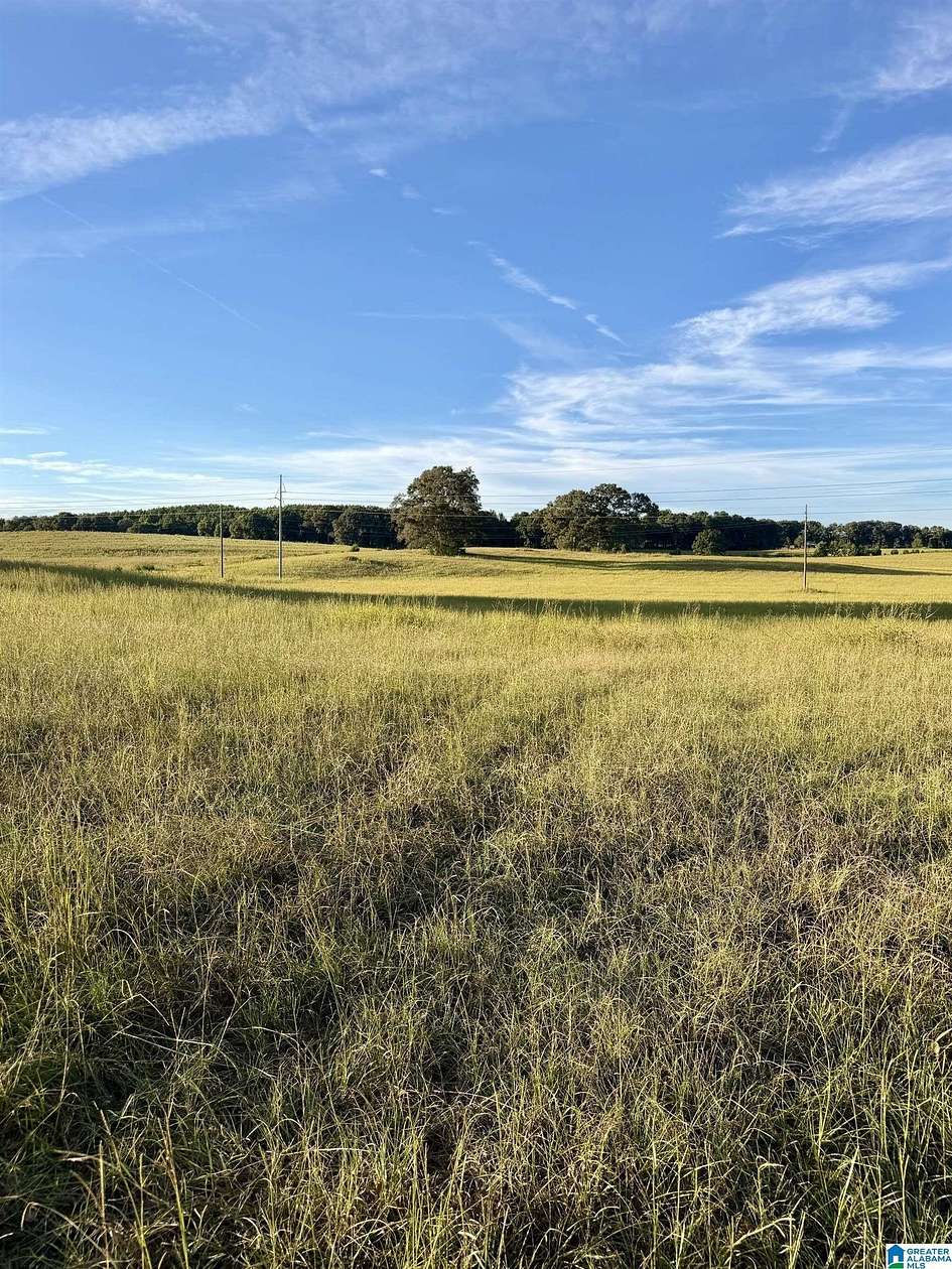 170 Acres of Agricultural Land with Home for Sale in Munford, Alabama