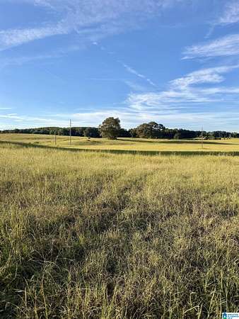 170 Acres of Agricultural Land with Home for Sale in Munford, Alabama