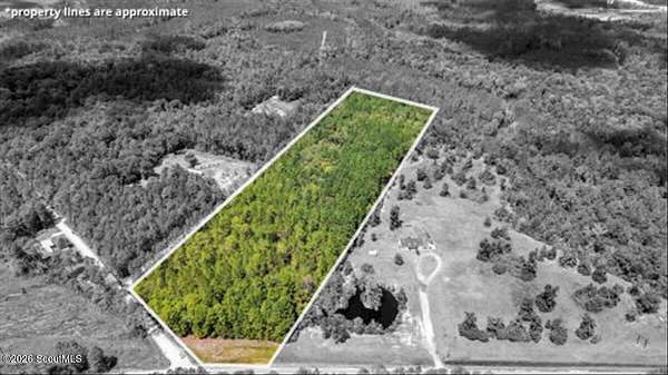 15.5 Acres of Land for Sale in Ludowici, Georgia