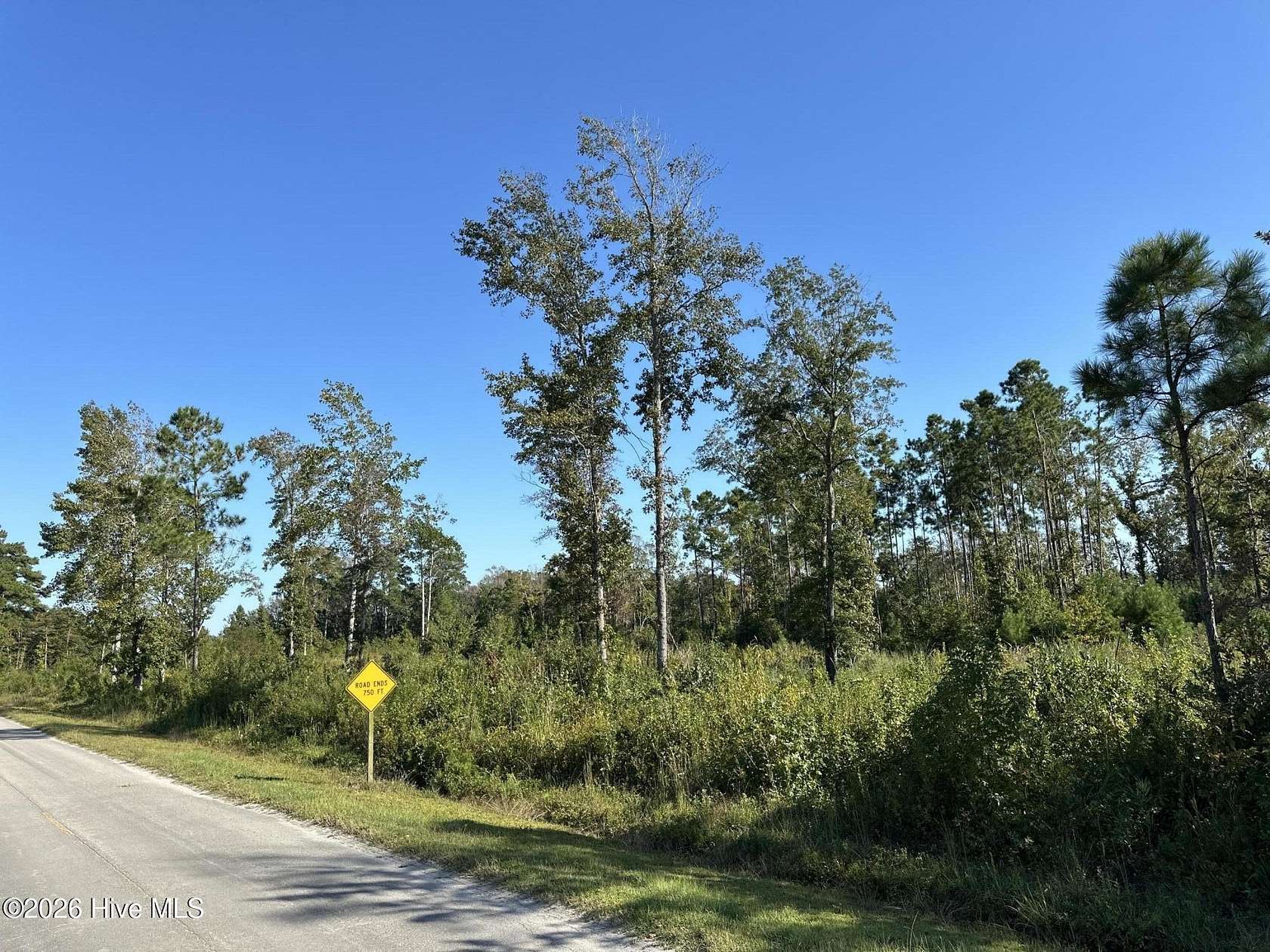 21.7 Acres of Land for Sale in Newport, North Carolina