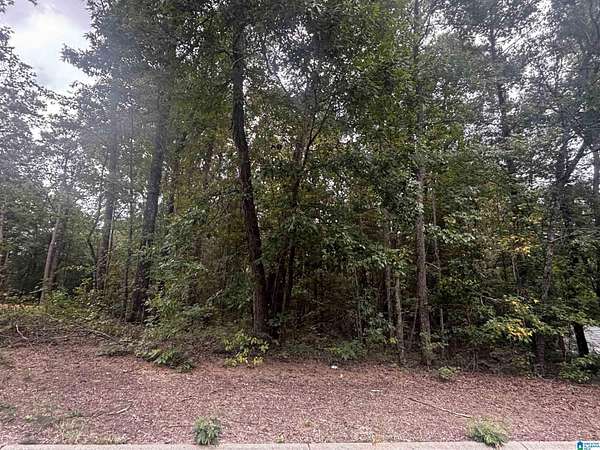 1.56 Acres of Residential Land for Sale in Lakeview, Alabama