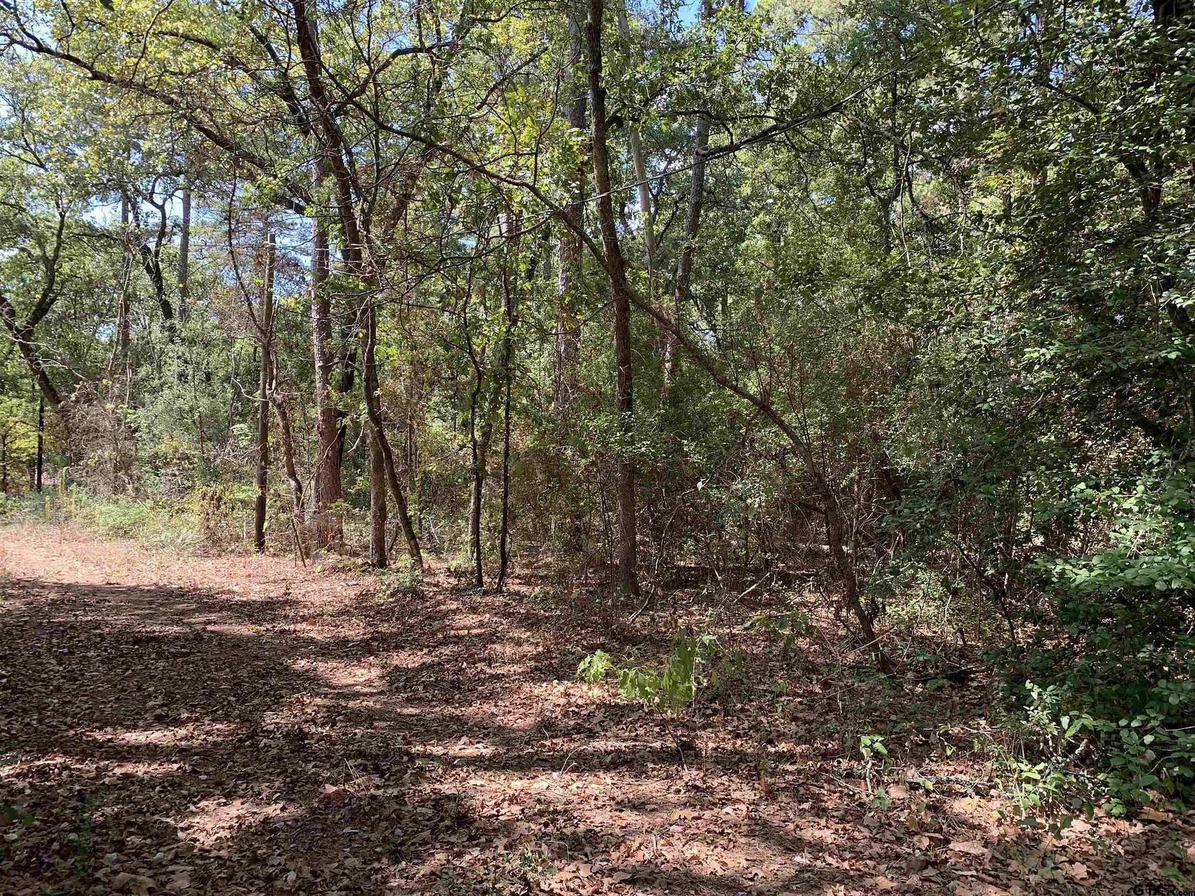 2.4 Acres of Land for Sale in Hawkins, Texas
