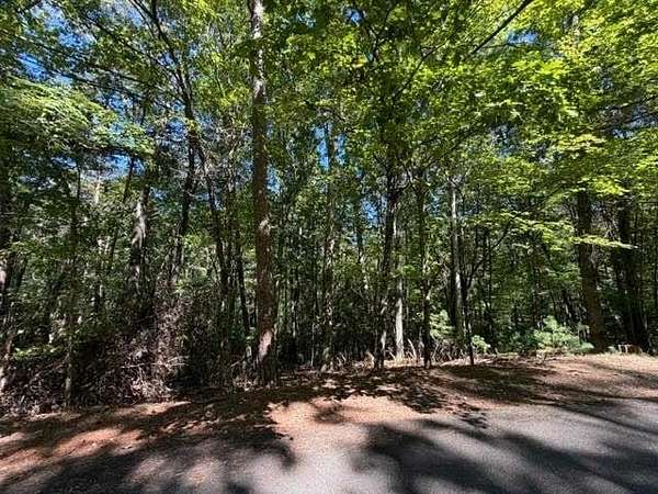 1.74 Acres of Residential Land for Sale in Ellijay, Georgia