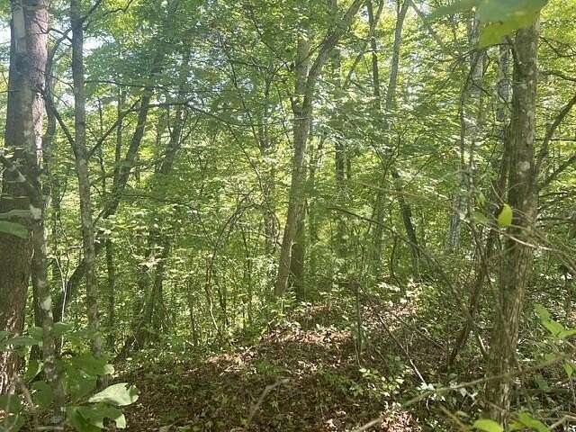 1.27 Acres of Residential Land for Sale in Franklin, North Carolina