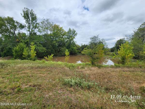 11 Acres of Recreational & Residential Land for Sale in Coldwater, Mississippi
