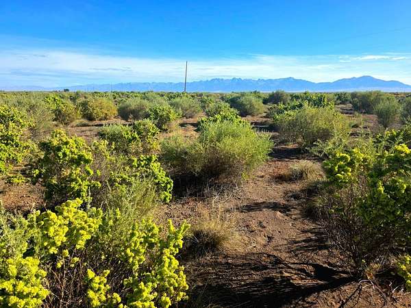 160 Acres of Recreational Land for Sale in Mosca, Colorado