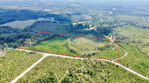 19.4 Acres of Recreational & Residential Land for Sale in Greenville, Florida