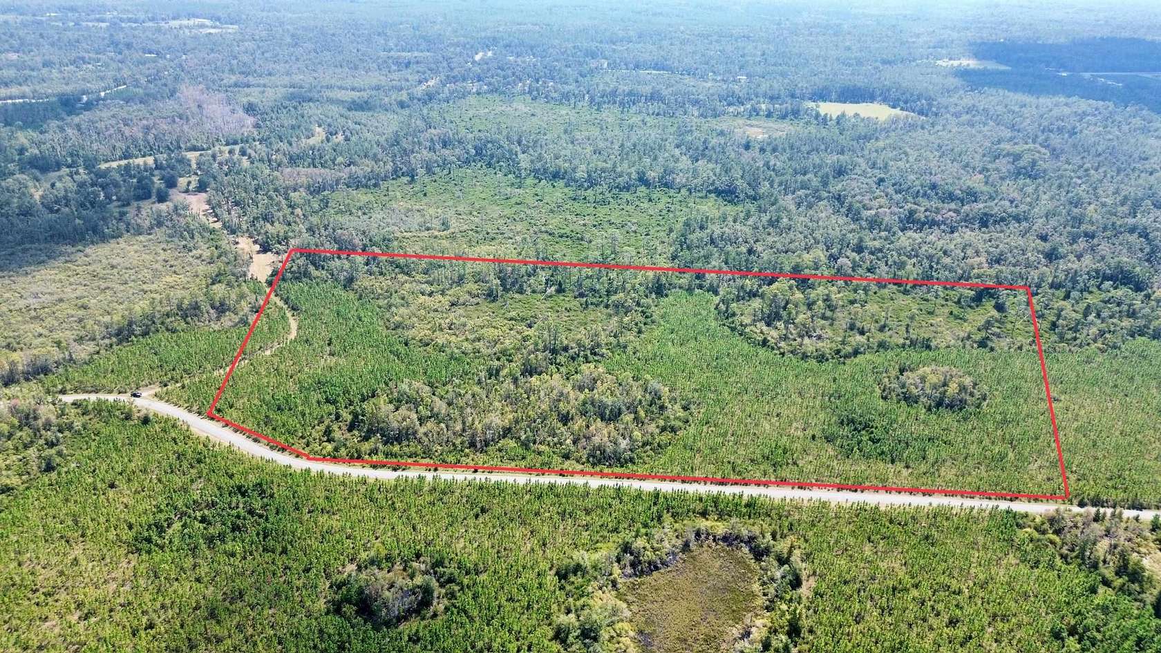 27.2 Acres of Recreational & Residential Land for Sale in Greenville, Florida