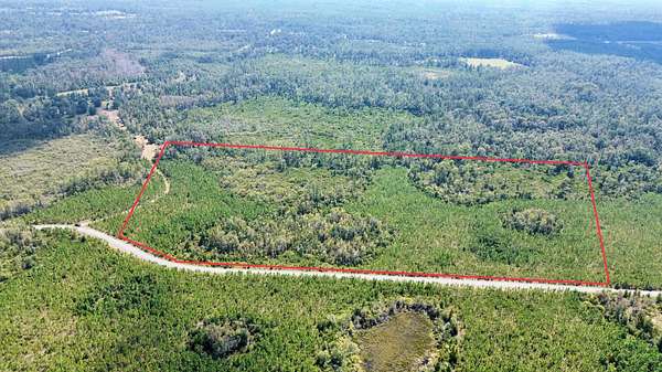 27.2 Acres of Recreational & Residential Land for Sale in Greenville, Florida