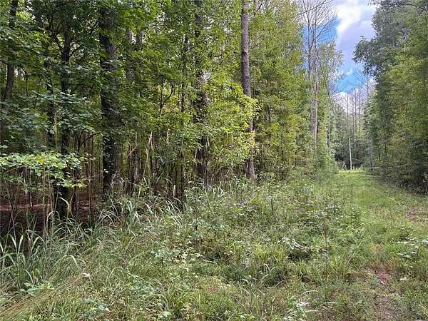 11.6 Acres of Land for Sale in Dallas, Georgia