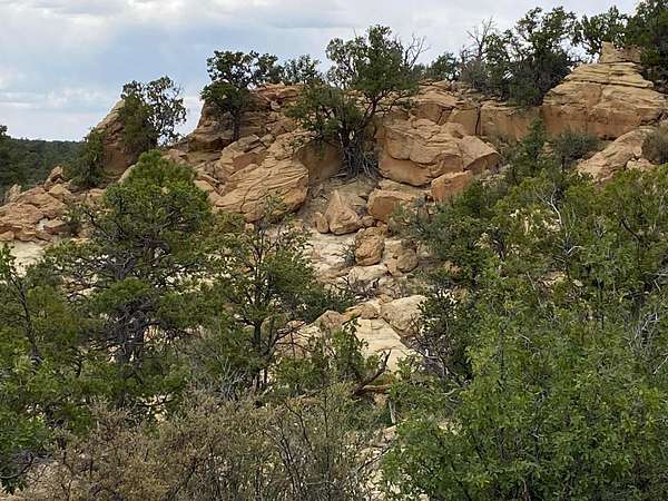 25 Acres of Recreational & Residential Land for Sale in Ramah, New Mexico