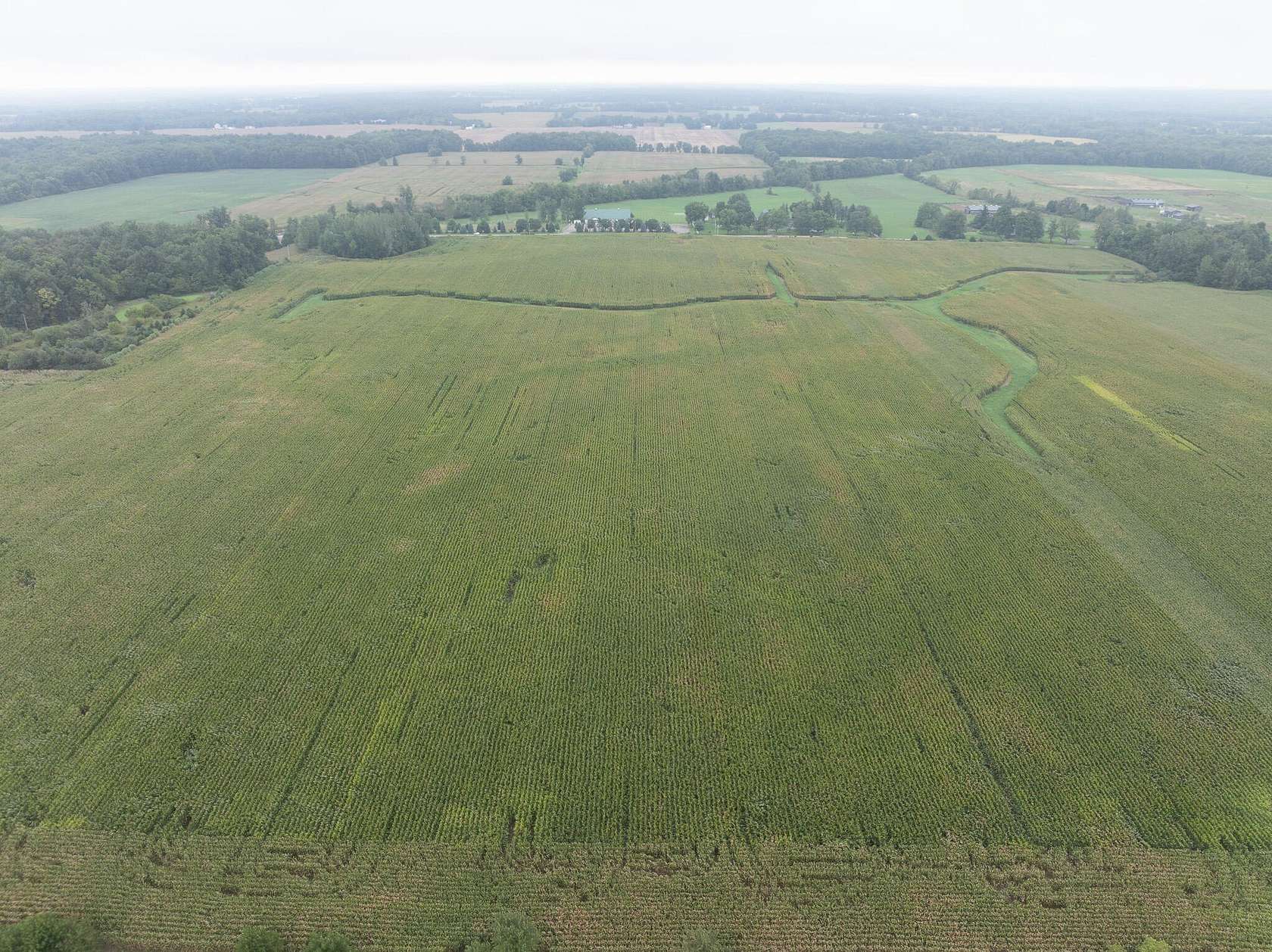 128 Acres of Agricultural Land for Sale in Reading, Michigan