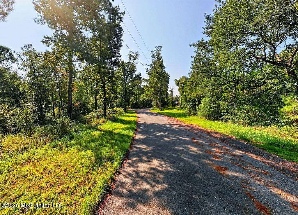 17.5 Acres of Recreational & Residential Land for Sale in Perkinston, Mississippi