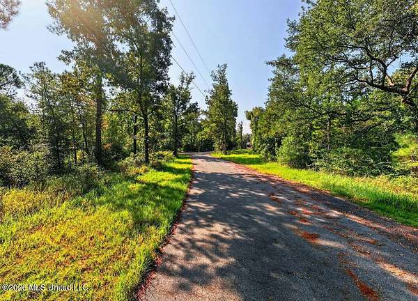 17.5 Acres of Recreational & Residential Land for Sale in Perkinston, Mississippi