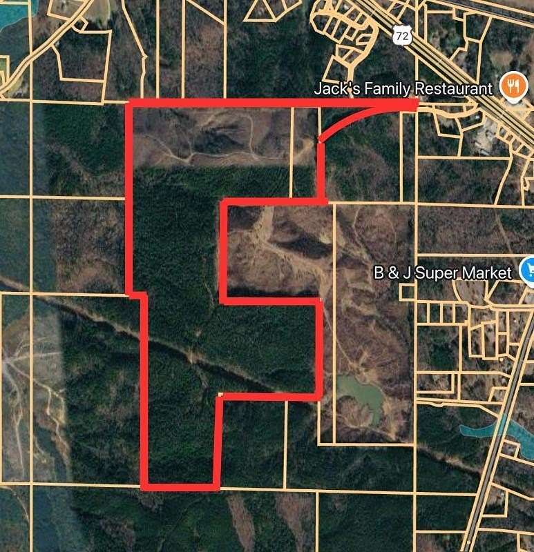225 Acres of Recreational Land for Sale in Burnsville, Mississippi