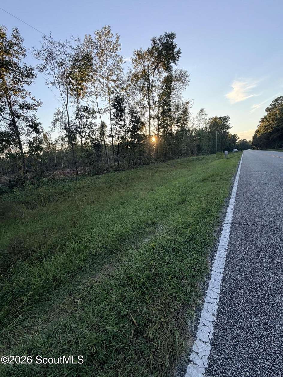 14.5 Acres of Land for Sale in Darien, Georgia