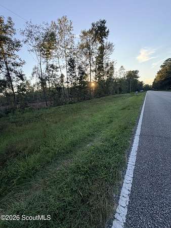 14.5 Acres of Land for Sale in Darien, Georgia