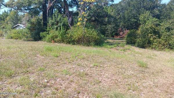 28 Acres of Recreational & Residential Land for Sale in Ponce de Leon, Florida