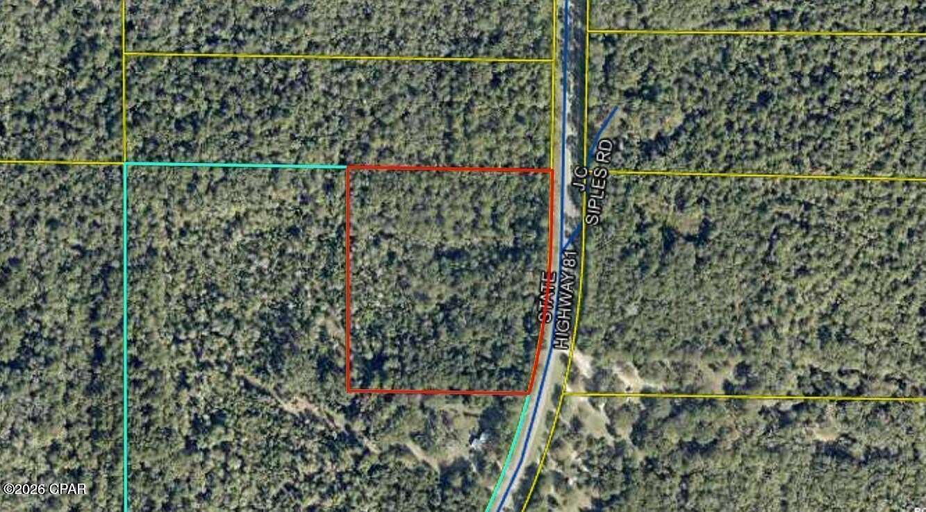 10 Acres of Land for Sale in Ponce de Leon, Florida