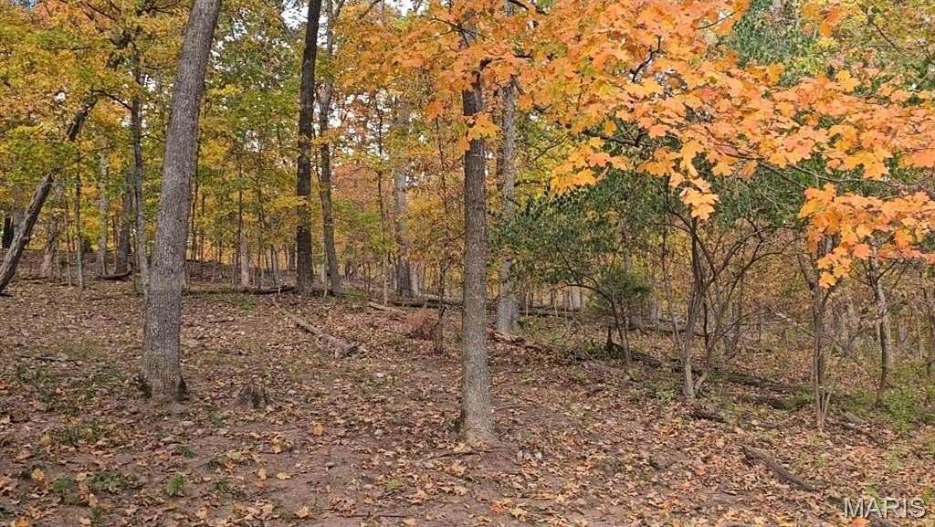 0.37 Acres of Residential Land for Sale in Charrette Township, Missouri