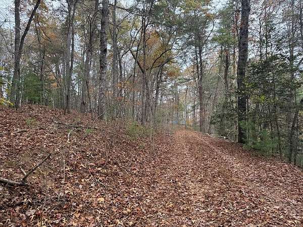 0.8 Acres of Residential Land for Sale in Brasstown, North Carolina