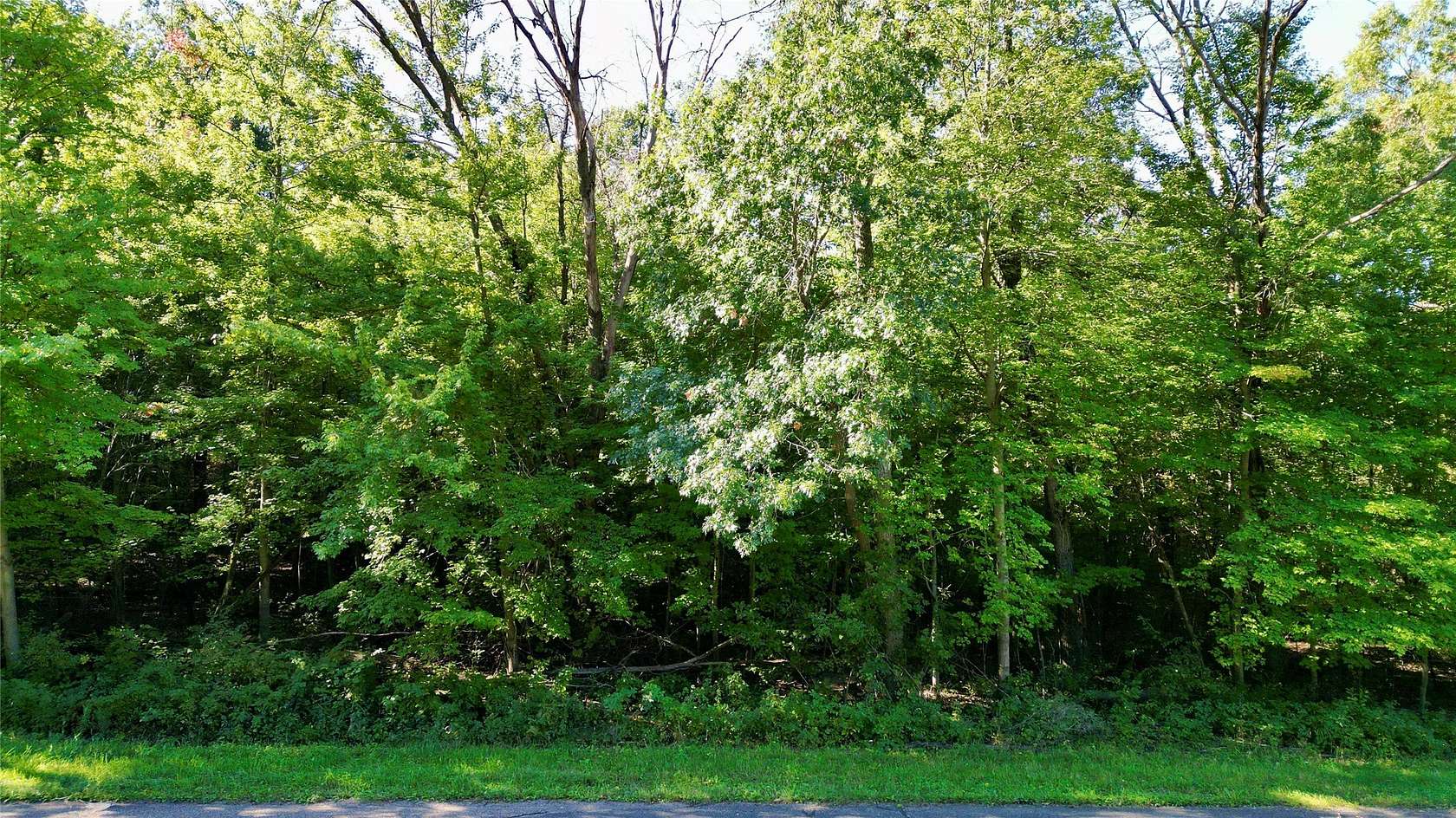 1.13 Acres of Residential Land for Sale in Elk Mound, Wisconsin