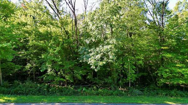 1.13 Acres of Residential Land for Sale in Elk Mound, Wisconsin