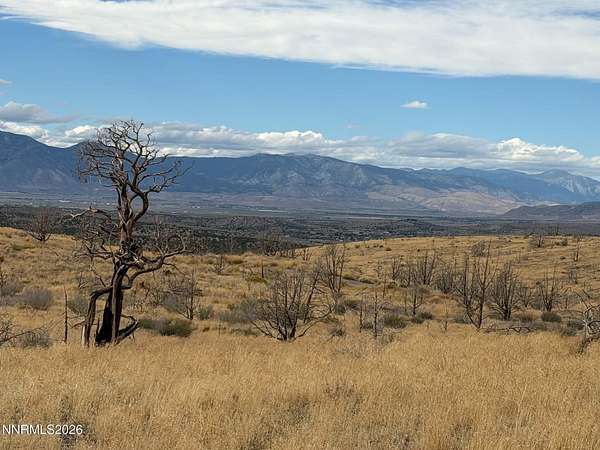 120 Acres of Recreational Land for Sale in Gardnerville, Nevada