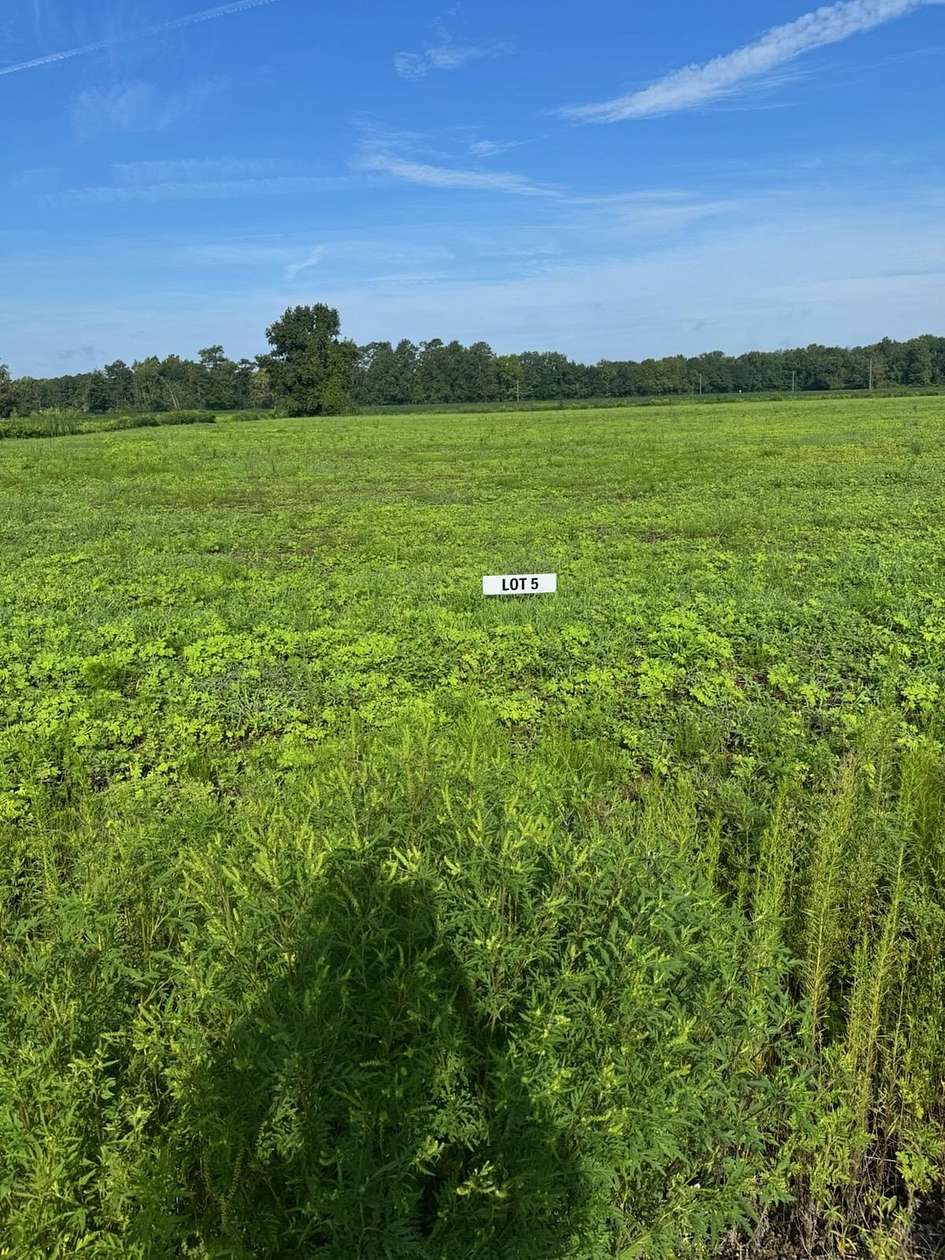 1.7 Acres of Land for Sale in Green Sea, South Carolina