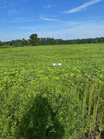 1.7 Acres of Land for Sale in Green Sea, South Carolina