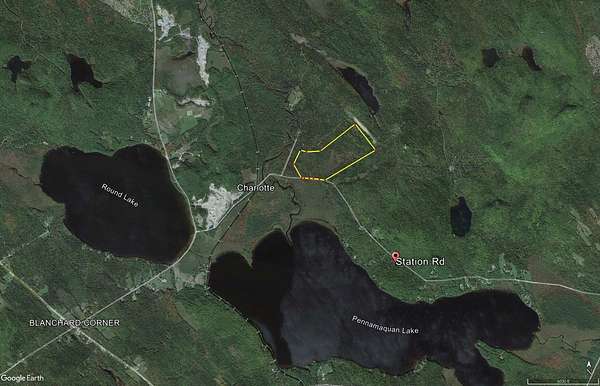 90 Acres of Recreational Land for Sale in Charlotte, Maine