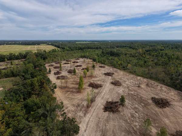 61.7 Acres of Land for Sale in Rayville, Louisiana