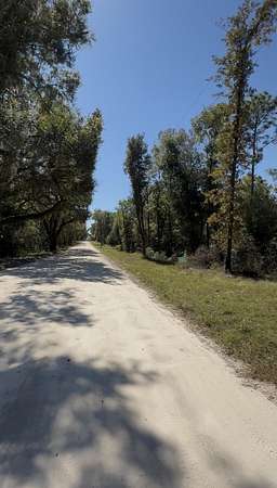 0.23 Acres of Residential Land for Sale in Williston Highlands, Florida