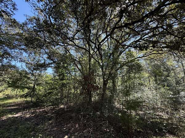 0.23 Acres of Residential Land for Sale in Williston Highlands, Florida