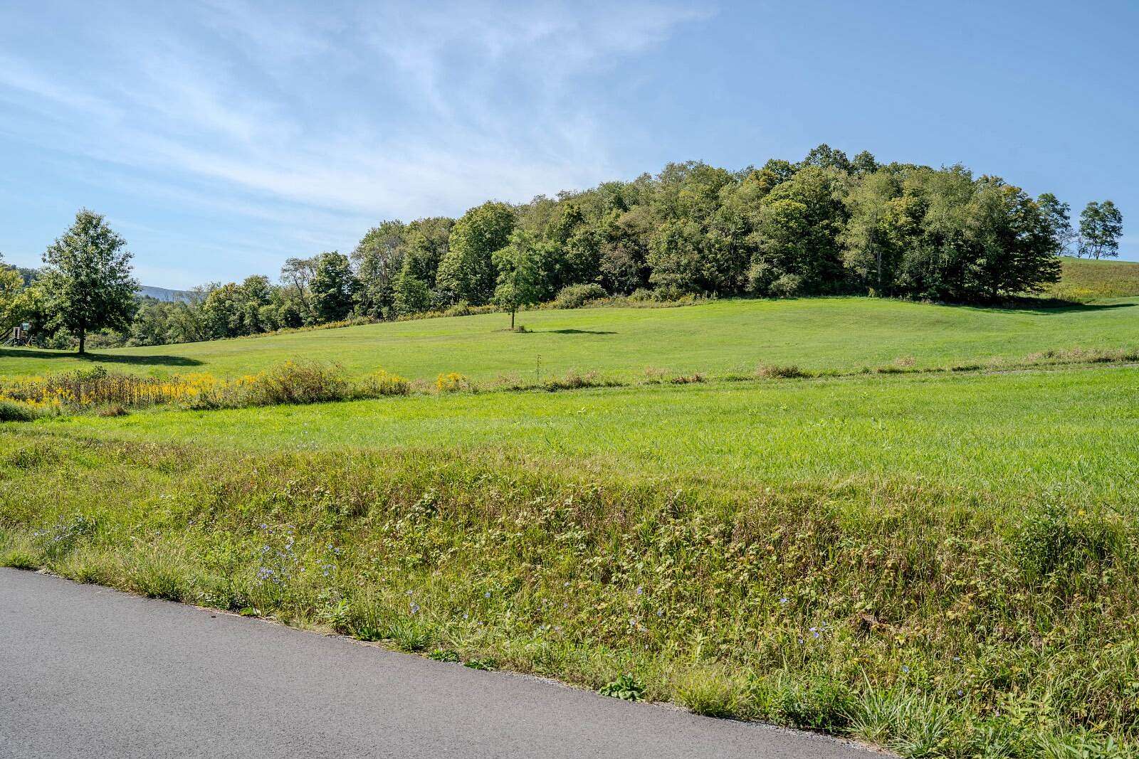 1.64 Acres of Residential Land for Sale in Alum Bank, Pennsylvania