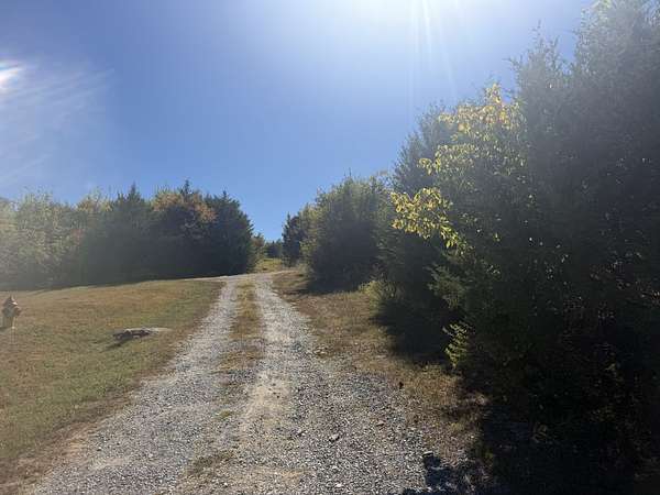 50 Acres of Land for Sale in Woodbury, Tennessee